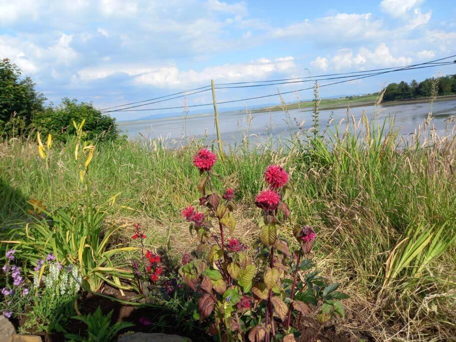 2 Quay Road, Killala. Stunning Sea Front Cottage 外观 照片